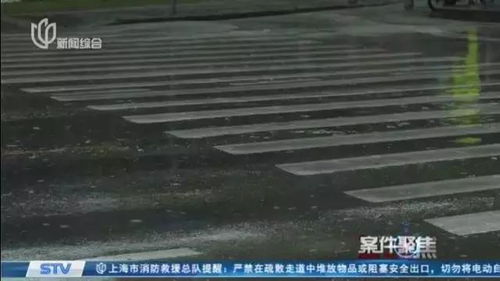 代孕一次多少费用